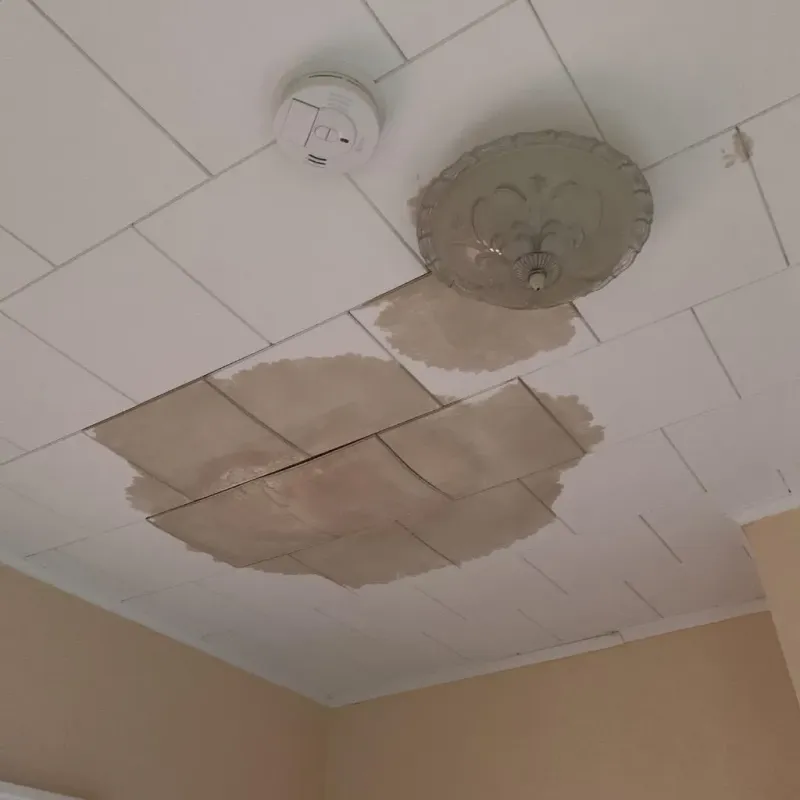 Ceiling Water Damage Repair in Scottsburg, IN