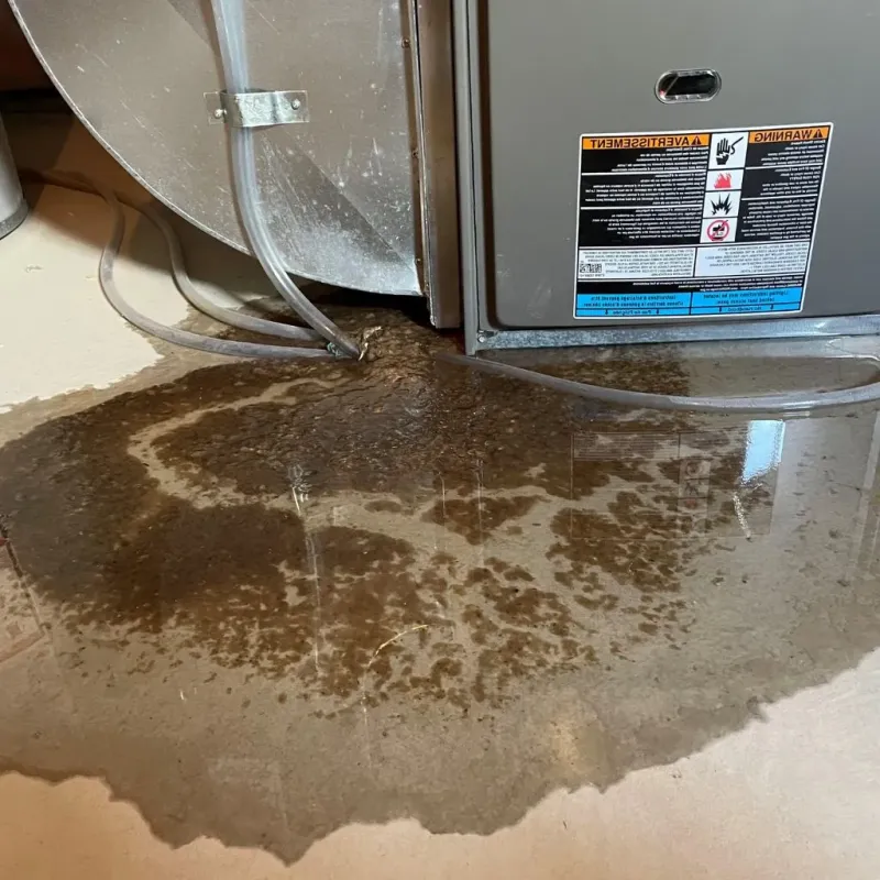 Pipe Burst and Leak Restoration in Scottsburg, IN