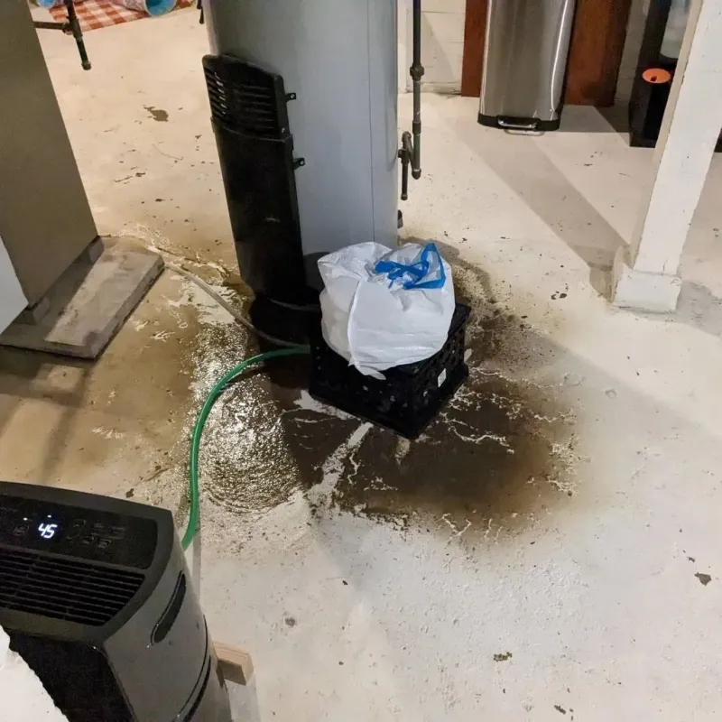 Sewage Backup Cleanup Service in Scottsburg, IN